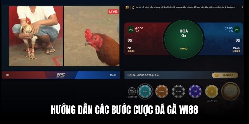 Bật mí 4 bước để cược đá gà online tại WI88