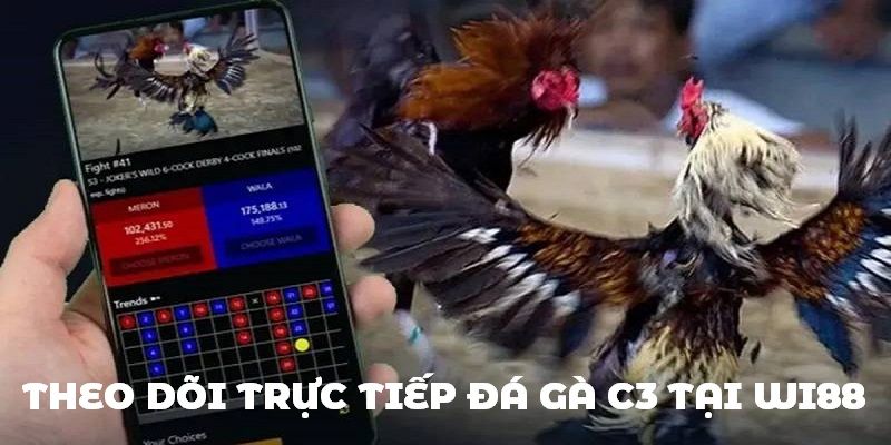 Theo dõi đá gà C3 phát sóng trực tiếp cực đơn giản cùng Wi88