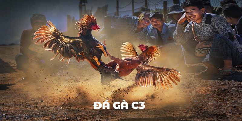 trực tiếp đá gà C3